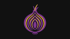 Tor network onion icon